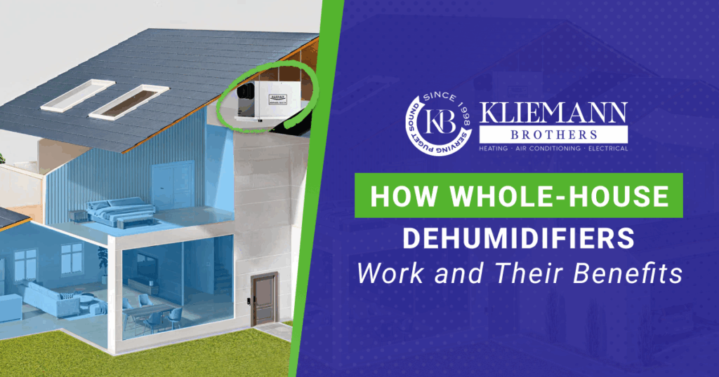 How Whole-House Dehumidifiers Work and Their Benefits