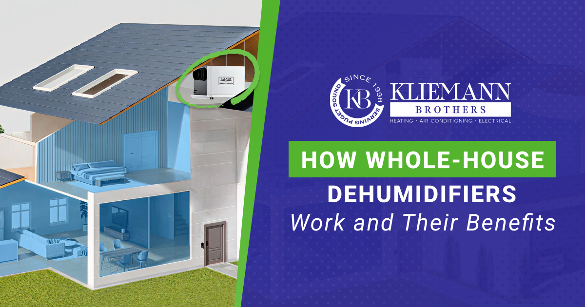 How Whole-House Dehumidifiers Work and Their Benefits