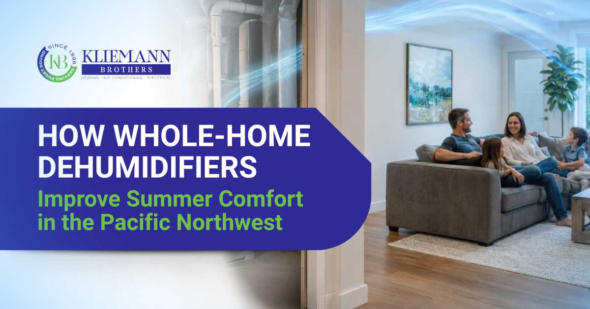 How Whole-Home Dehumidifiers Improve Summer Comfort in the Pacific Northwest